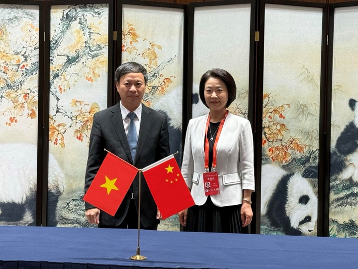 Việt Nam tích cực tham gia xây dựng Cộng đồng khoa học, công nghệ và đổi mới sáng tạo Vành đai và Con đường - Ảnh 3.