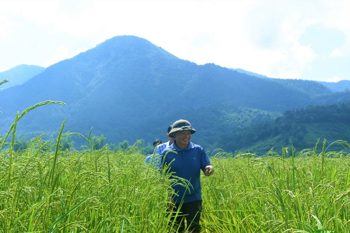 Phát huy giá trị cây nông nghiệp bản địa- Ảnh 2.