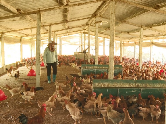 Khoa học và công nghệ dẫn dắt hành trình phát triển mới của Thái Nguyên - Ảnh 2.