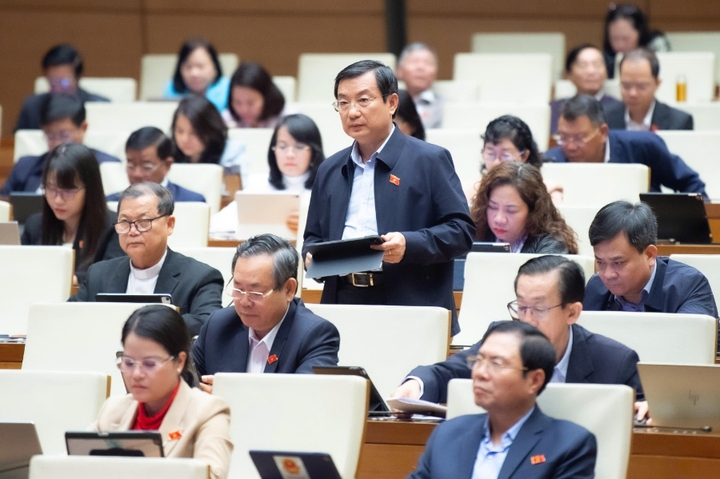 Kiến nghị hỗ trợ doanh nghiệp Việt bảo hộ công nghệ ở nước ngoài - Ảnh 2.