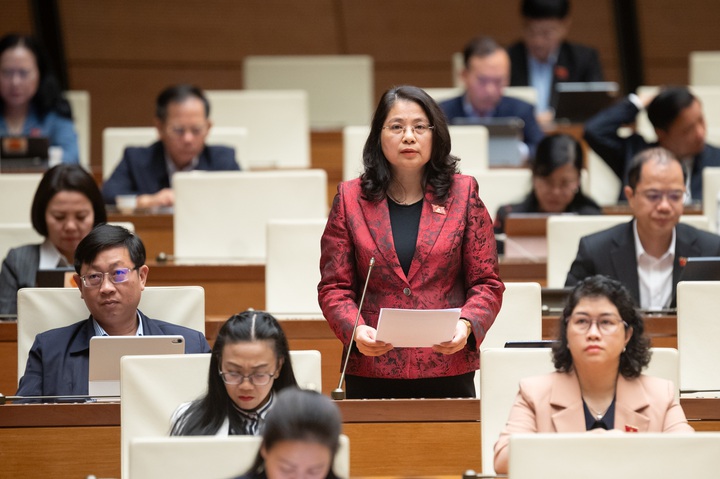 ĐBQH đề nghị siết định giá tài sản trí tuệ tránh thất thoát, Bộ trưởng Bộ KH&CN nói gì? - Ảnh 4.