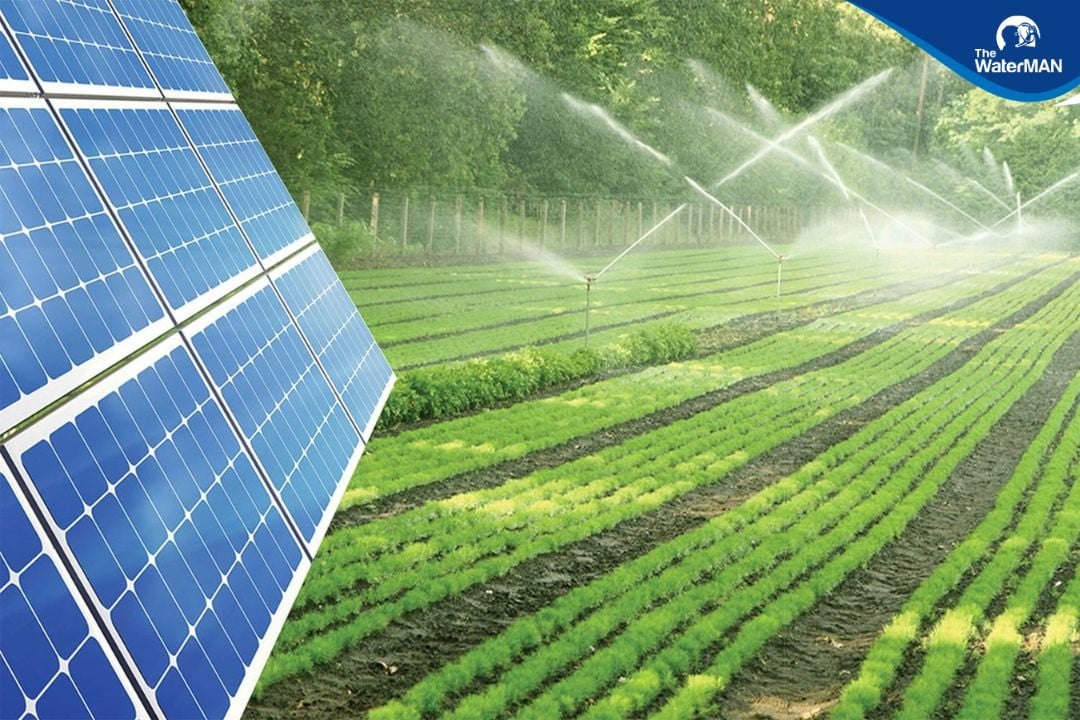 Ứng dụng kỹ thuật năng lượng mặt trời tưới nhỏ giọt cho cây trồng- Ảnh 2.