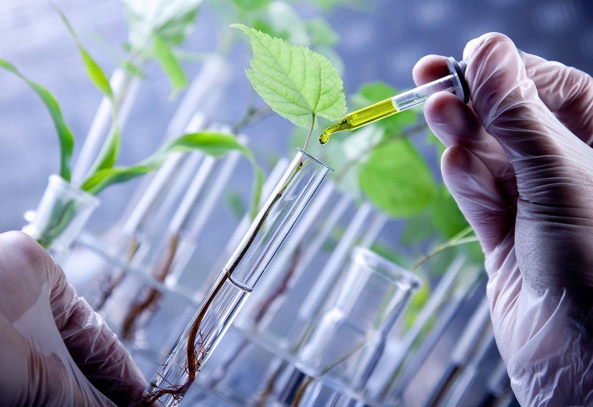 Đổi mới công nghệ sinh học, hy vọng mới cho nông nghiệp Việt Nam- Ảnh 2.