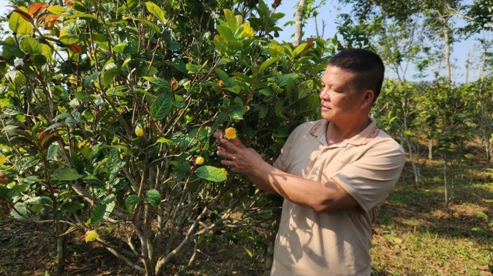Quảng Ninh: Khoa học công nghệ tạo đột phá trong sản xuất xanh và giảm nghèo bền vững - Ảnh 2.