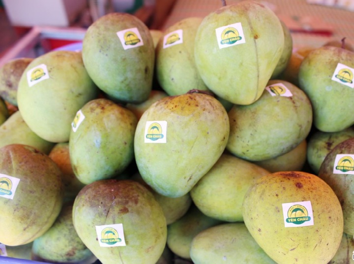 Sơn La bứt phá nhờ khoa học, công nghệ và đổi mới sáng tạo - Ảnh 2.