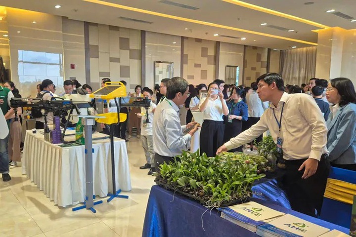 TP.HCM - ĐBSCL - Nam Trung bộ liên kết phát triển nông nghiệp ứng dụng công nghệ cao - Ảnh 3.